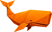 Project App icon